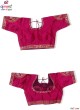 Elegant Fancy Blouse for Women in a New Designer Style  in Surat